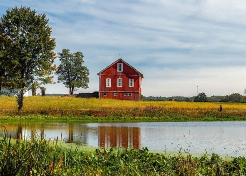 #36. Ohio